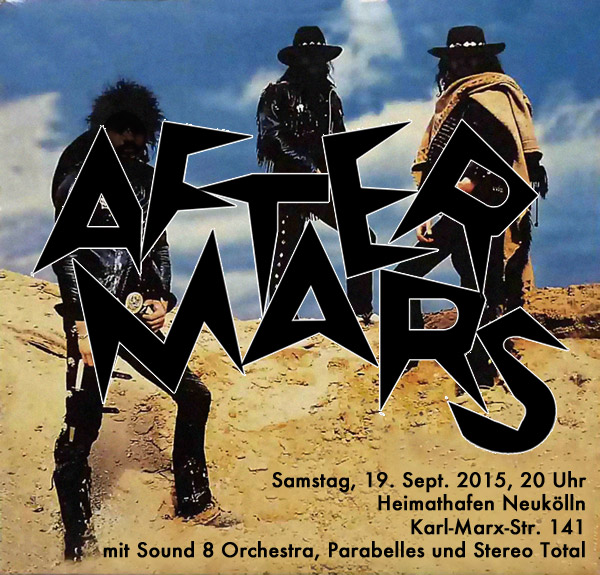 aftermars at heimathafen with Stereo Total